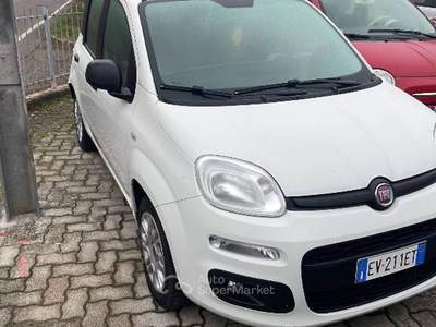 Fiat Panda Panda  Bianco usata Monte San Giusto