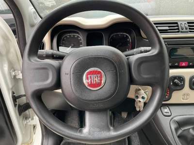 Fiat Panda Panda  Bianco usata Monte San Giusto