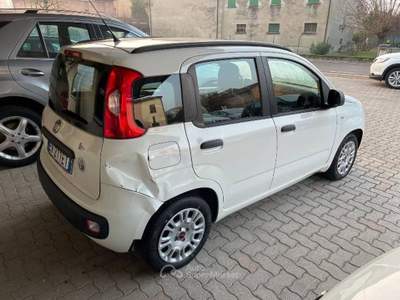 Fiat Panda Panda  Bianco usata Monte San Giusto