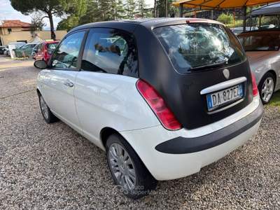 Lancia Ypsilon Neopatentati Bianco usata Arezzo