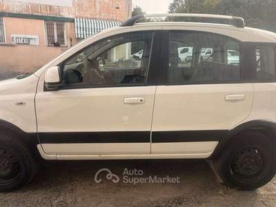 Fiat Panda Panda II 2003 1.3 mjt 16v Climbing 4x4 75cv Bianco usata Silvano d'Orba