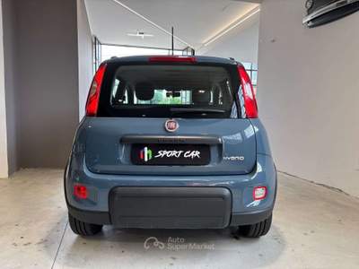 Fiat Panda Panda III 2021 1.0 firefly hybrid City Life s Blu/Azzurro usata Cesano Maderno