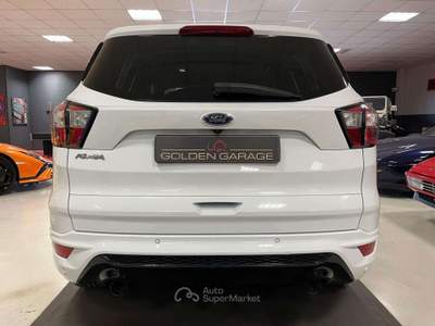 Ford Kuga Kuga 2.0 TDCI 120 CV S&S 2WD ST-Line Bianco usata Moncalieri