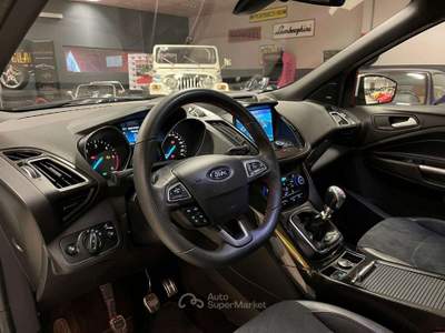 Ford Kuga Kuga 2.0 TDCI 120 CV S&S 2WD ST-Line Bianco usata Moncalieri