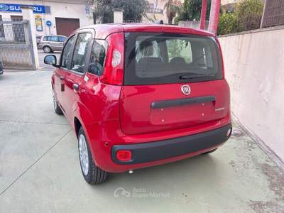 Fiat Panda 1.0 FireFly S&S Hybrid Rosso usata Brindisi