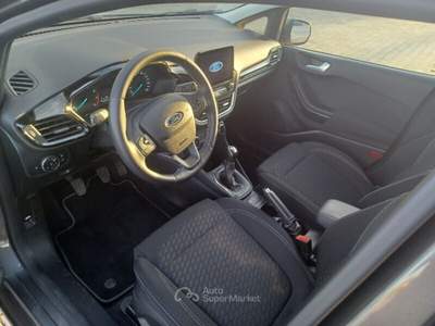 Ford Fiesta Fiesta 1.1 75 CV 5 porte Titanium Grigio usata Cecina