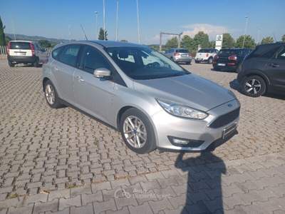 Ford Focus Focus 1.5 TDCi 120 CV Start&Stop Business Argento usata Cecina