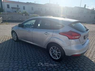 Ford Focus Focus 1.5 TDCi 120 CV Start&Stop Business Argento usata Cecina
