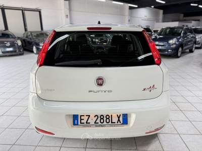 Fiat Punto Evo 5p 1.3 mjt II 75CV lounge Bianco usata Fontanella