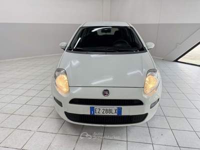 Fiat Punto Evo 5p 1.3 mjt II 75CV lounge Bianco usata Fontanella