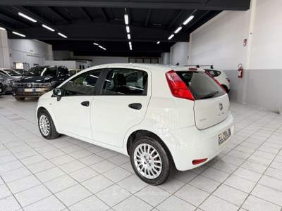 Fiat Punto Evo 5p 1.3 mjt II 75CV lounge Bianco usata Fontanella