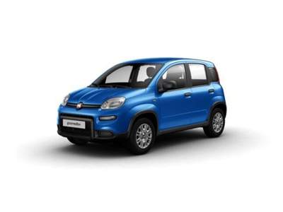 Fiat Panda Panda 1.0 FireFly S&S Hybrid Icon Blu/Azzurro usata Chieri