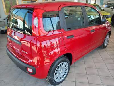 Fiat Panda 1.0 FireFly S&amp;S Hybrid x Neopatenteti Rosso usata Viadana