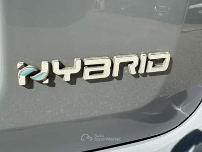 Fiat Panda 1.0 HYBRID Grigio usata San Salvatore Telesino