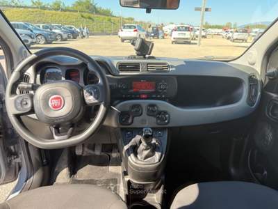 Fiat Panda 1.0 HYBRID Grigio usata San Salvatore Telesino