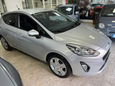 Ford Fiesta GPL 5 Porte Euro 6 Argento usata Roma