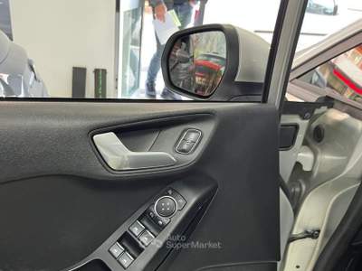 Ford Fiesta GPL 5 Porte Euro 6 Argento usata Roma