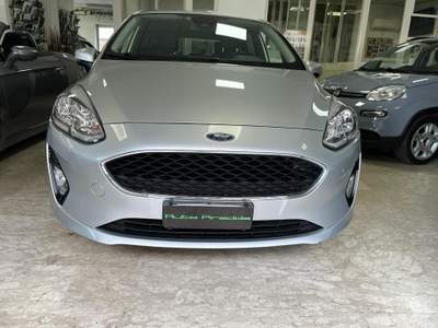 Ford Fiesta GPL 5 Porte Euro 6 Argento usata Roma