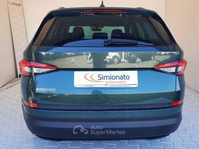 Skoda Kodiaq 2.0 TDI EVO SCR DSG Executive Verde usata Resana
