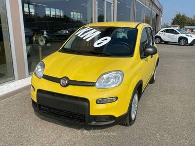 Fiat Panda 1.0 FireFly S&S Hybrid Pandina Bianco usata Scandiano