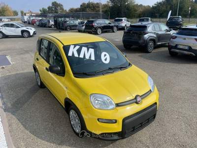 Fiat Panda 1.0 FireFly S&S Hybrid Pandina Bianco usata Scandiano