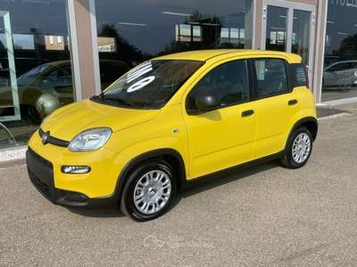 Fiat Panda 1.0 FireFly S&S Hybrid Pandina Bianco usata Scandiano