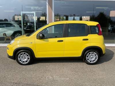 Fiat Panda 1.0 FireFly S&S Hybrid Pandina Bianco usata Scandiano