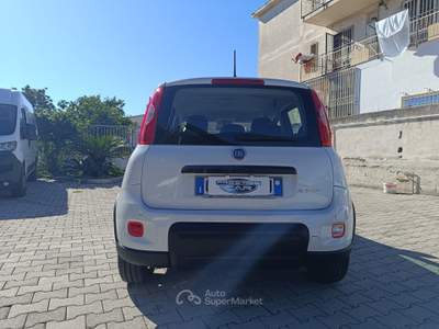 Fiat Panda FireFly S&S Hybrid Bianco usata Pompei