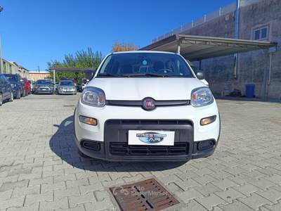 Fiat Panda FireFly S&S Hybrid Bianco usata Pompei