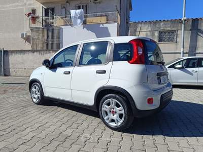 Fiat Panda FireFly S&S Hybrid Bianco usata Pompei
