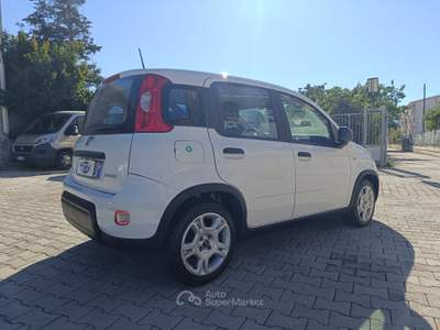 Fiat Panda FireFly S&S Hybrid Bianco usata Pompei