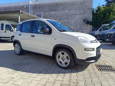Fiat Panda FireFly S&S Hybrid Bianco usata Pompei