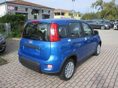 Fiat Panda 1.0 FireFly S&S Hybrid Panda Pack City Blu/Azzurro usata Mogliano Veneto