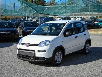 Fiat Panda 1.0 FireFly S&S Hybrid Pandina Bianco usata Pianezza