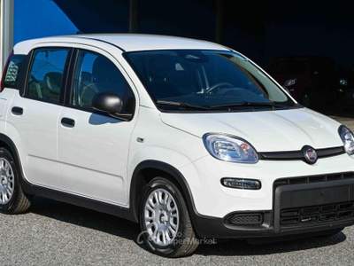 Fiat Panda 1.0 FireFly S&S Hybrid Pandina Bianco usata Pianezza