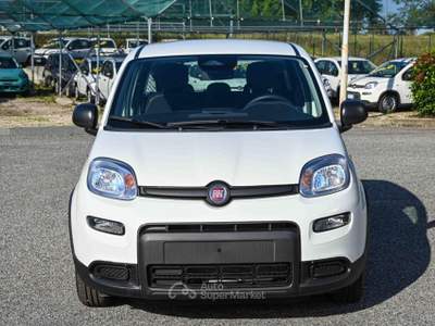 Fiat Panda 1.0 FireFly S&S Hybrid Pandina Bianco usata Pianezza