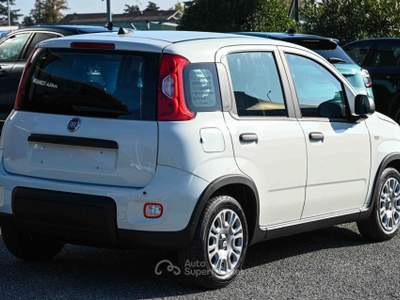 Fiat Panda 1.0 FireFly S&S Hybrid Pandina Bianco usata Pianezza