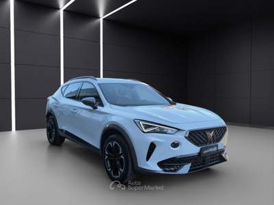 Cupra Formentor 2.0 TDI 4Drive DSG Bianco usata Napoli