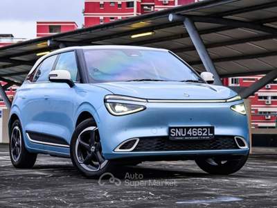 Dongfeng Box Box Premium Bianco usata Gubbio