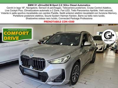 BMW X1 20d xDrive MSport Tetto Navi C.18" Cam M-Sport Nav Argento usata Campi Bisenzio