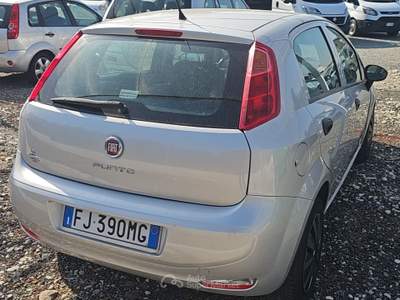 Fiat Punto null usata Santa Giuletta