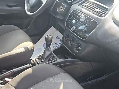 Fiat Punto null usata Santa Giuletta