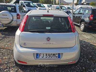 Fiat Punto null usata Santa Giuletta