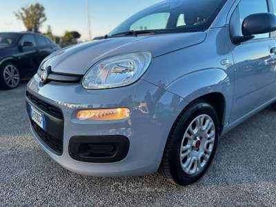 Fiat Panda Panda 1.0 FireFly S&S Hybrid Grigio usata RIMINI