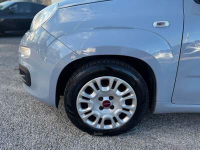 Fiat Panda Panda 1.0 FireFly S&S Hybrid Grigio usata RIMINI