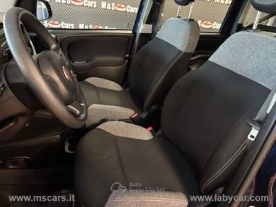 Fiat Panda Panda 1.0 FireFly S&S Hybrid Blu/Azzurro usata Rivoli