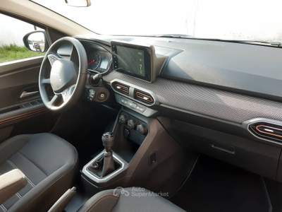 Dacia Sandero Dacia Sandero Stepway Expression 100 GPL Blu/Azzurro usata Villanova d'Asti