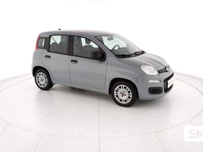 Fiat Panda FireFly 70cv S&S Hybrid Grigio usata GIOIA TAURO