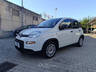 Fiat Panda FireFly S&S Hybrid Bianco usata Pompei