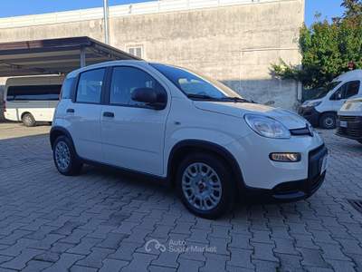 Fiat Panda FireFly S&S Hybrid Bianco usata Pompei